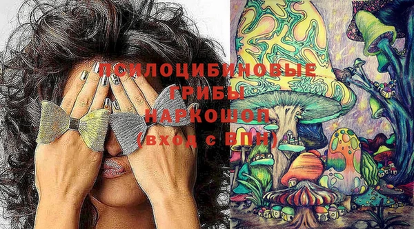 прущие крисы Аркадак