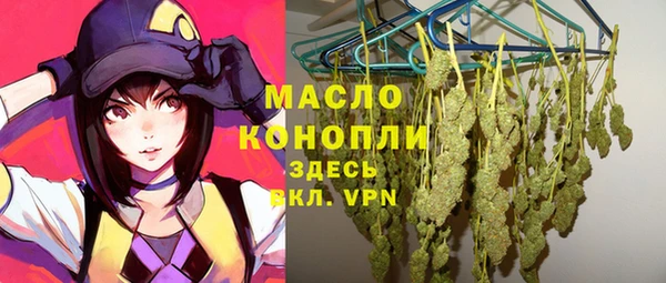 гидра Арсеньев