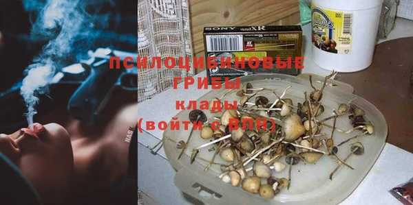 прущие крисы Аркадак