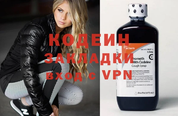 гидра Арсеньев